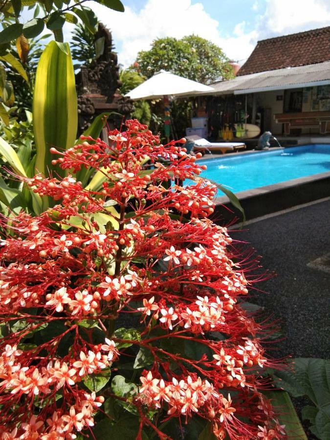 Sunwukong Guest House Ubud Exteriér fotografie
